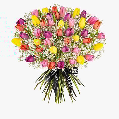 Mixed Tulips